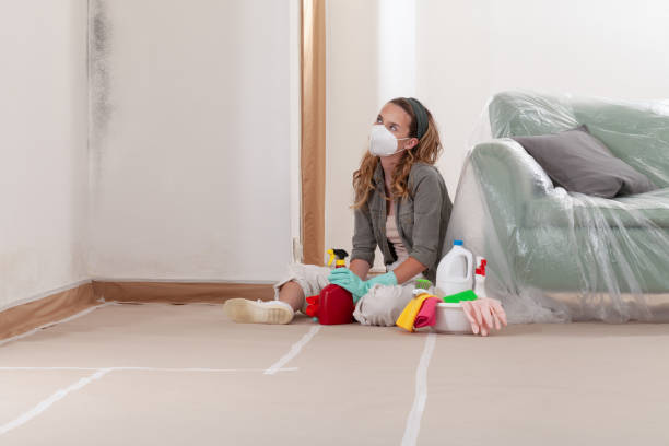 Reliable Commercial Mold Remediation contractor in Stafford, VA by WQB Mold Removal